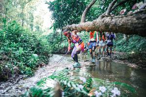 BIB: 
                            <button type="button" onclick="openModal(25446565)" class="btn btn-primary btn-sm float-right btn-popup" data-toggle="modal" data-target=".modal-high-quality">
                        <i class="fas fa-shopping-cart"></i> Add to Cart
                    </button>
                                            <button type="button" onclick="isThisMe(25446565, true)" class="btn btn-success btn-sm float-right btn-popup btn-isme hidden" data-toggle="tooltip" data-placement="bottom" title="นี่คือรูปของคุณใช่ไหม คลิกที่นี่เพื่อเอาเข้าอัลบั้ม">
                        <i class="fas fa-plus"></i> Add to album
                    </button>
                    <button type="button" onclick="isThisMe(25446565, false)" class="btn btn-warning btn-sm float-right btn-popup btn-isnotme hidden">
                        <i class="fas fa-ban"></i> Remove from album
                    </button>